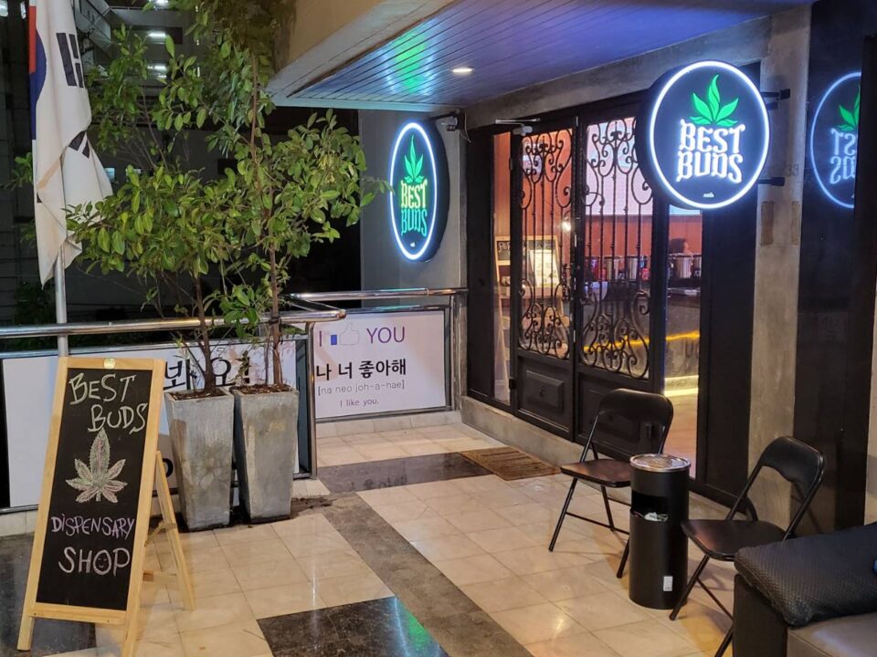 Best Weed Shop in Bangkok